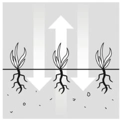 GARDENA EVC 1000 Verticuteermachine - Werkbreedte 30 Cm - Werkgebied 600m2 -Gardena 1200x1200 158