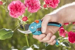 GARDENA - Classic B/S-M Bypass Snoeischaar - Ø 22mm - 25 Jaar Garantie -Gardena 1200x799 62