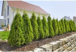 GARDENA Micro Drip System Startset L Druppelsysteem - 50 Meter -Gardena 1200x814