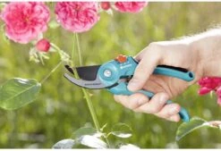 GARDENA - Classic B/S-M Bypass Snoeischaar - Ø 22mm - 25 Jaar Garantie -Gardena 1200x820