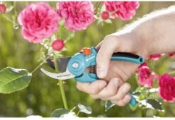 GARDENA - Classic B/S-M Bypass Snoeischaar - Ø 22mm - 25 Jaar Garantie -Gardena 1200x825 16