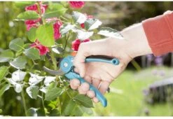 GARDENA - Classic B/S-M Bypass Snoeischaar - Ø 22mm - 25 Jaar Garantie -Gardena 1200x825 17