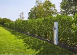 GARDENA - Besproeiingscomputer Flex - Geen App Vereist 18 GARDENA - Besproeiingscomputer Flex - Geen App Vereist -Gardena 1200x856