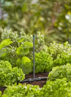 Gardena Micro-Drip-System - Verlengbuis Voor Sproeikoppen, Lengte 228 Mm, 5 Stuks 13326-20 5 Gardena Micro-Drip-System - Verlengbuis Voor Sproeikoppen, Lengte 228 Mm, 5 Stuks 13326-20 -Gardena 65b3fdf7ab80b3f3aa0ad937