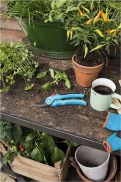 GARDENA - Classic B/S-M Bypass Snoeischaar - Ø 22mm - 25 Jaar Garantie -Gardena 800x1200 56